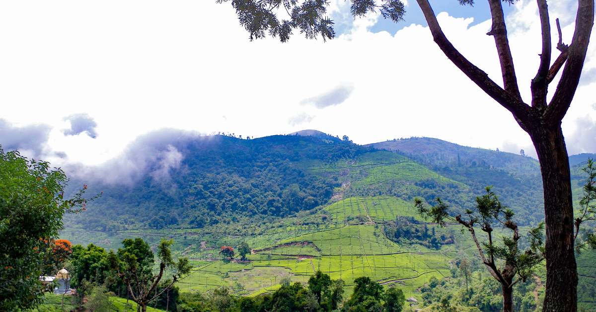 Places to visit in Coonoor