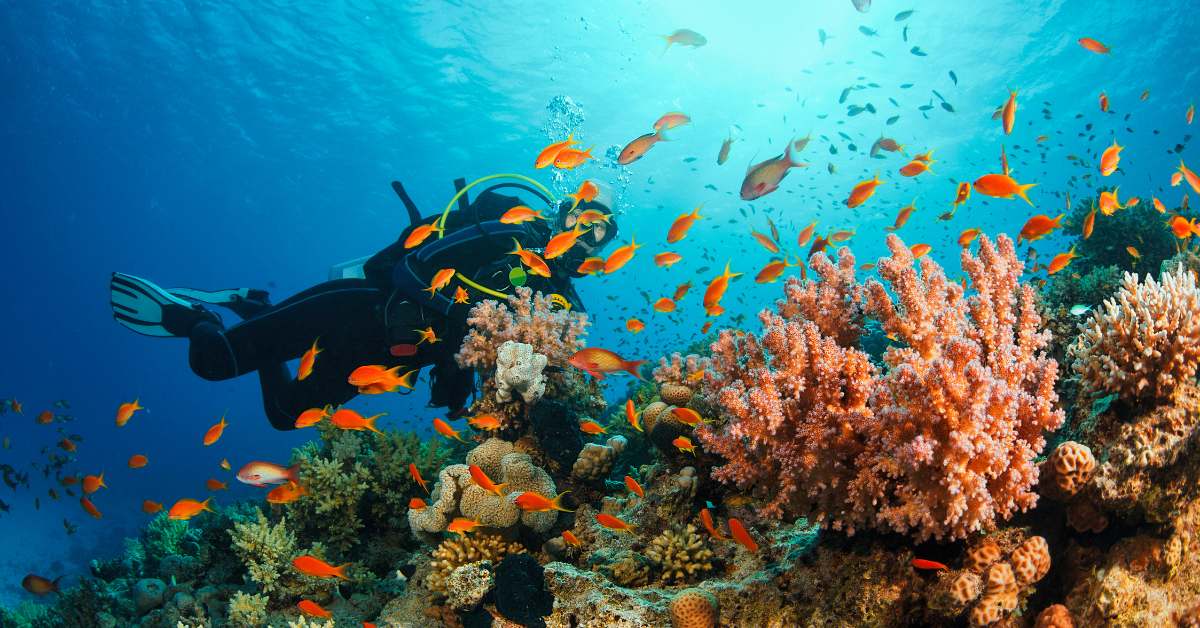 Scuba diving spots