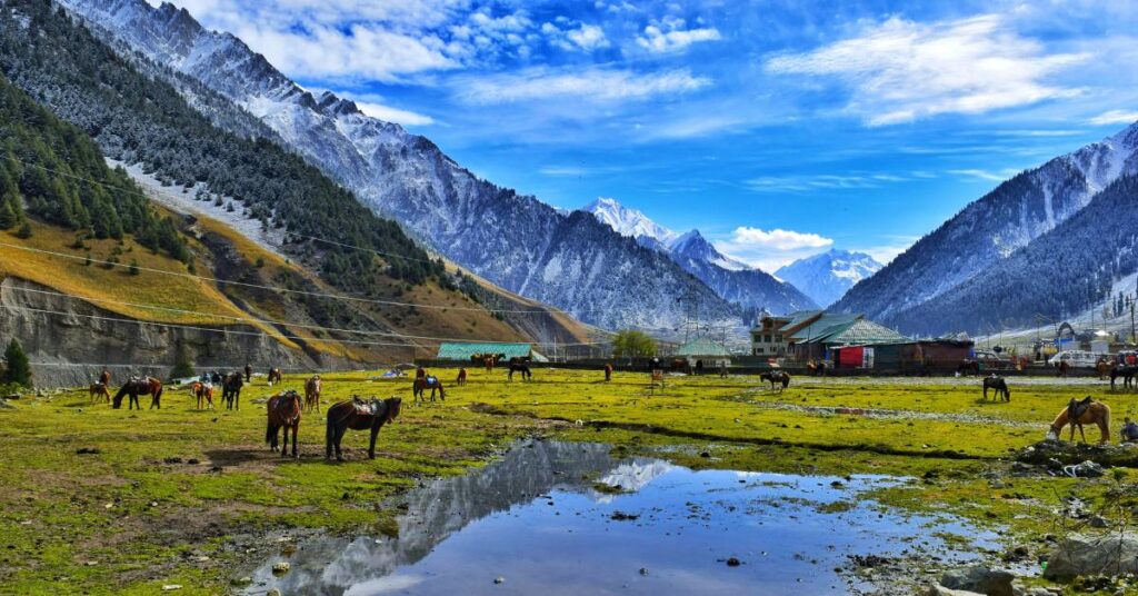 Suru Valley Ladakh