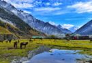 Suru Valley Ladakh