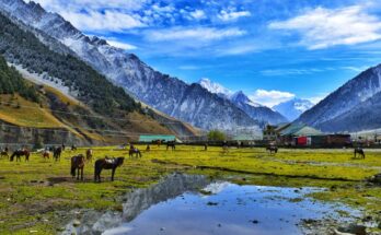 Suru Valley Ladakh