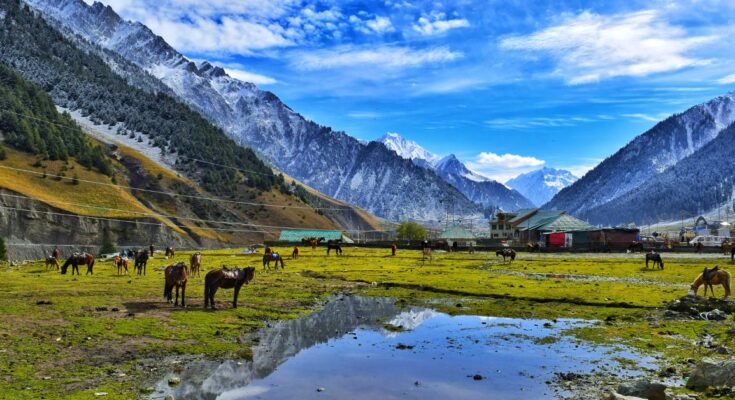 Suru Valley Ladakh