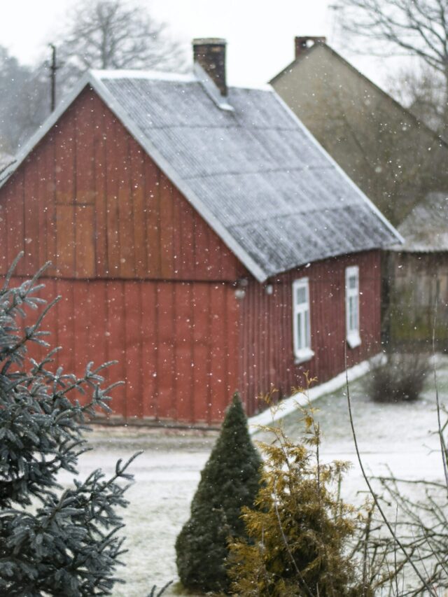 snowfall in India