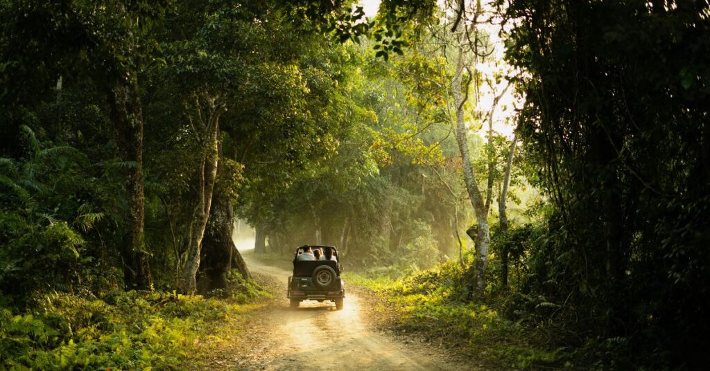 Jim Corbett Jeep Safari