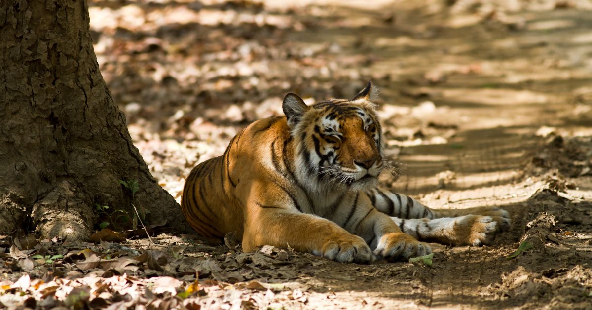 Jim Corbett Places To Visit