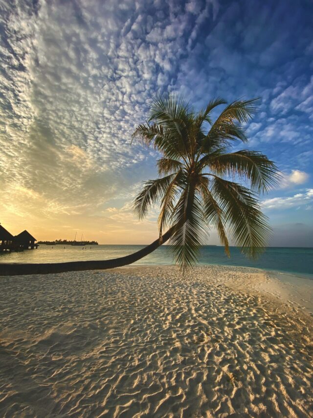 beaches